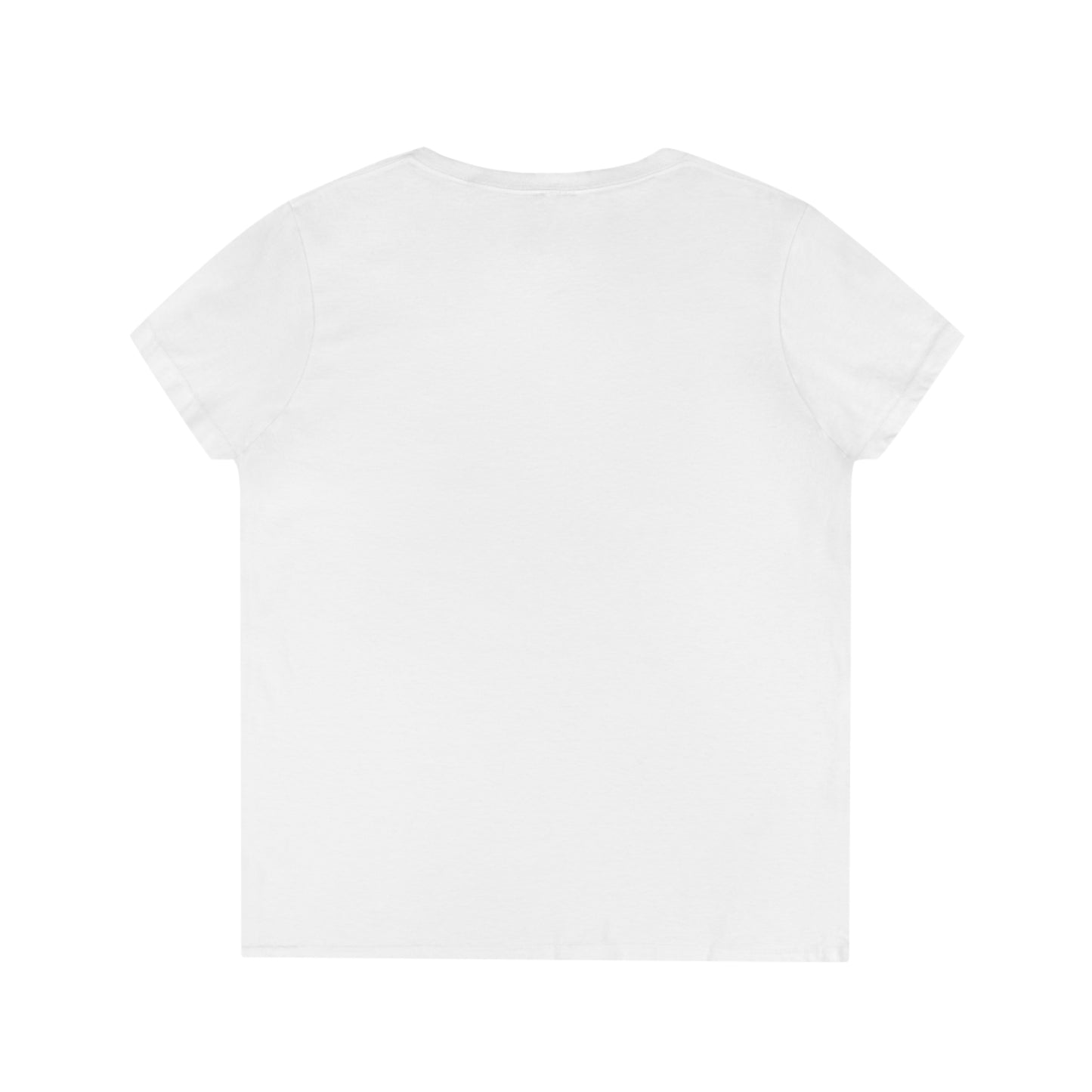 MIAMI ANITA Ladies' V-Neck T-Shirt
