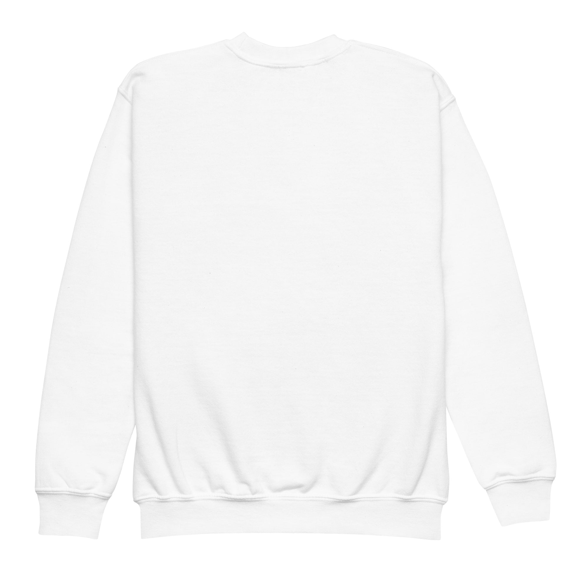 a white sweatshirt with a long sleeves and a round neck